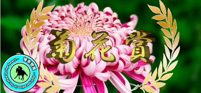 【2019菊花賞 予想】