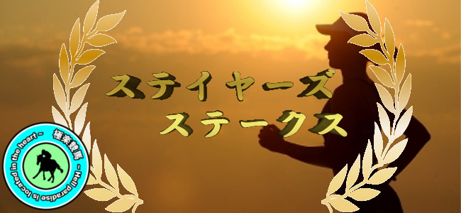 【2019ステイヤーズステークス 予想】