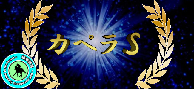 【2019カペラステークス 予想】差し馬を狙い撃ち!