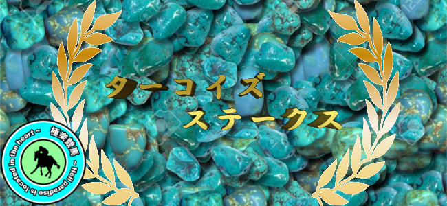 【2019ターコイズステークス レース展望】